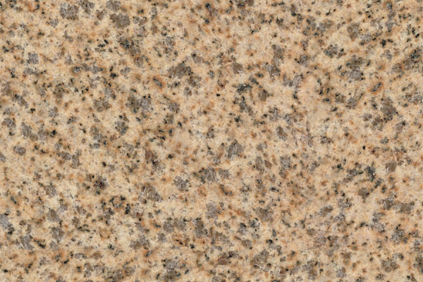 Giallo Gold Polished(dark)